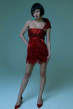 Red Fringe Mini Dress