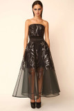 Strapless Illusion Dress