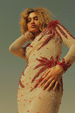 Long Sleeve Beaded  Gown