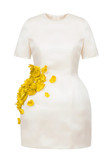 Zeste Dress