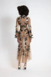Glass Petal Embroidered Tulle Dress