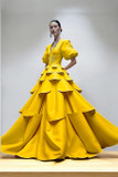 Puffy Sleeved A-Line Gown