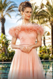Feathered Bodice A Line Gown