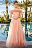 Feathered Bodice A Line Gown