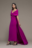 Bormio Draped Sleeve Column Gown