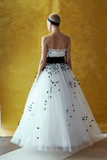 Lavinia Strapless Pleated Tulle Ball Gown