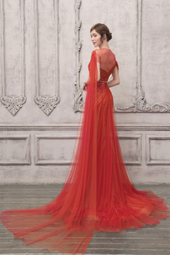 Illusion Neck Draped Shoulder Gown