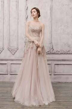 Sheer Illusion Embellished Gown