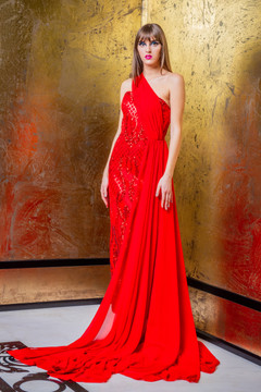 Embroidered One Shoulder Draped Gown