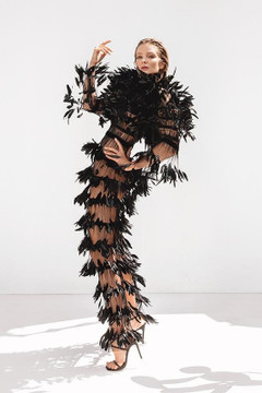 Ruffled Plume Sheer Dress