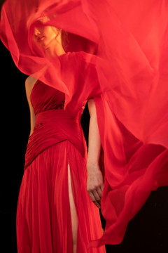 Draped Cape Sleeve Gown Draped Cape Sleeve Gown