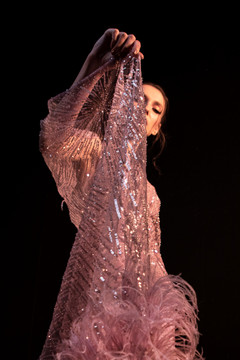 Crystal Feathered Gown Crystal Feathered Gown