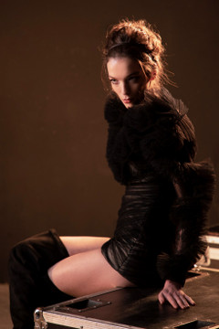 Long Sleeve Tulle Mini Dress Long Sleeve Tulle Mini Dress