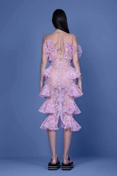 Ruffled Lace Dress Ruffled Lace Dress