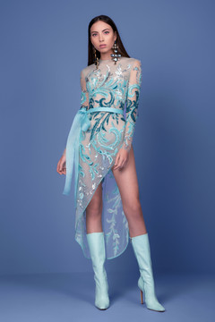 Long Sleeve Asymmetrical Beaded Tulle Dress Long Sleeve Asymmetrical Beaded Tulle Dress