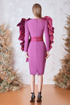 Long Sleeved Ruffled Dress Long Sleeved Ruffled Dress