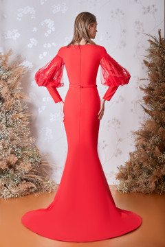 Long Sleeved Trumpet Gown