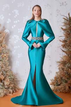 Long Sleeved Trumpet  Gown