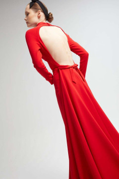 Long Sleeve Fitted Gown Long Sleeve Fitted Gown