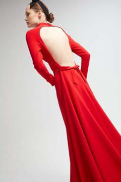 Long Sleeve Fitted Gown