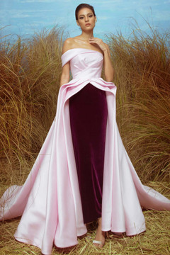 Silk Gazar and Velvet Gown