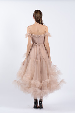 Off Shoulder Illusion Tulle Dress