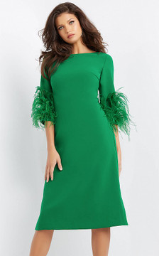 Short Feathered Sleeve Dress Short Feathered Sleeve Dress
