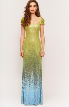 Louanna Ombre Gown