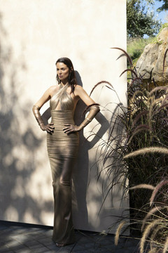 Fitted /Halter Gown Fitted /Halter Gown
