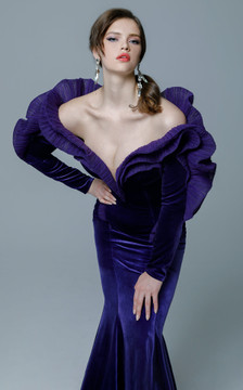 Long Sleeve Velvet Gown