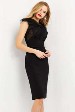Lace Bodice /Sheath Dress Lace Bodice /Sheath Dress