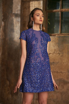 Mini Embroidered Dress Mini Embroidered Dress