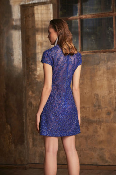 Mini Embroidered Dress Mini Embroidered Dress