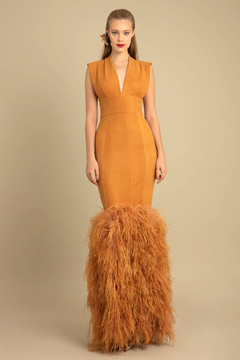 V-Cut Neckline Feathered Gown