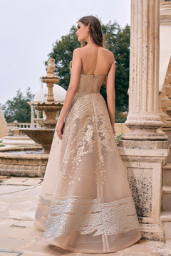 Organza and Brocade Gown Organza and Brocade Gown