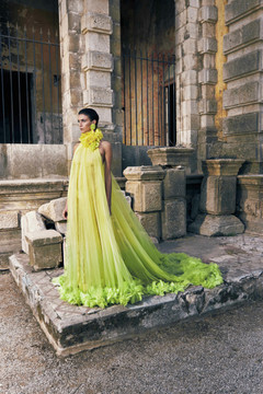 Draped Ruffled Gown Draped Ruffled Gown