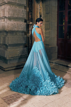 Halter Neck Draped Tulle Gown Halter Neck Draped Tulle Gown