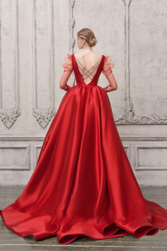 Long Sheer Sleeve- Ball Gown Long Sheer Sleeve- Ball Gown