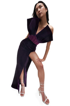 Purple Velvet Gown Purple Velvet Gown