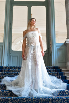 Dentelle and Tulle Gown Dentelle and Tulle Gown
