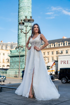 Tulle and Embroidered Gown Tulle and Embroidered Gown