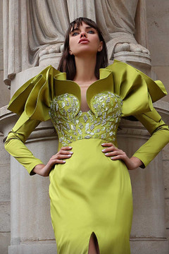 Embellished Long Sleeve Ruffled Gown Embellished Long Sleeve Ruffled Gown