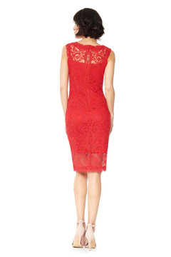 Lace Dress Lace Dress