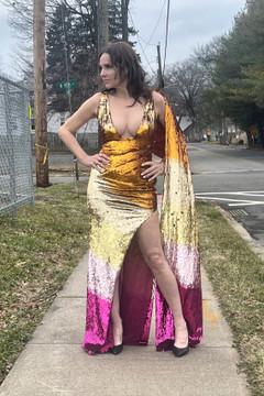 Plunge Neck - Beaded Gown Plunge Neck - Beaded Gown