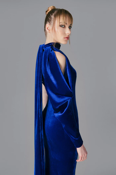 Velvet Gown with Draped Sleeve