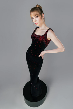 Velvet Embroidered Gown Velvet Embroidered Gown