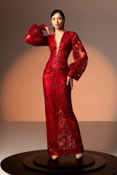 Long Sleeve Lace V-Neck Gown