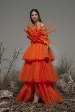 Bonito Feathered-Tiered Gown