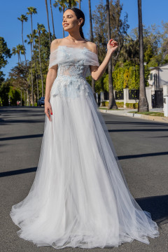 Tulle Gown with Embroidery