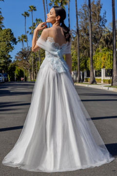 Tulle Gown with Embroidery Tulle Gown with Embroidery
